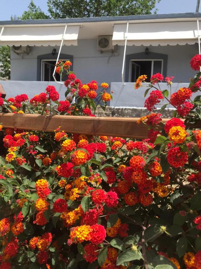 Villa Praljan ボルシュ エクステリア 写真